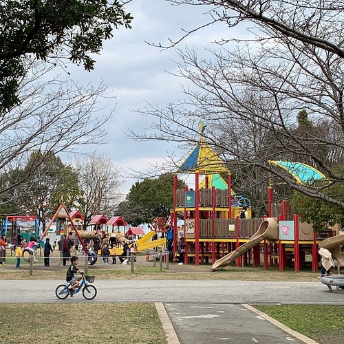 🌳 우라야마 공원 (浦山公園) 이미지 7